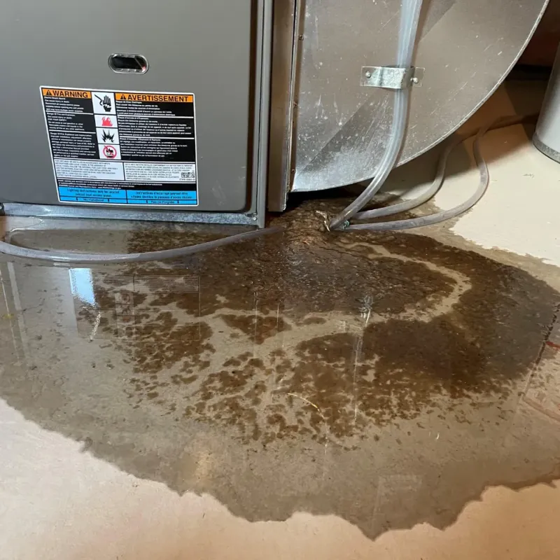 Appliance Leak Cleanup in Tye, TX